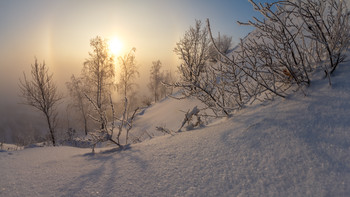 Winter Sun / ***
