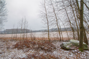 landscape with a stone / ***