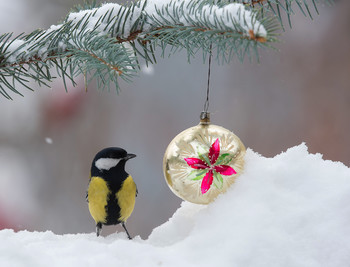 Holiday greetings! / ***