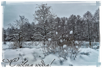 Happy New Year! / ***