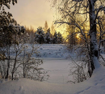 Happy New Year! / ...