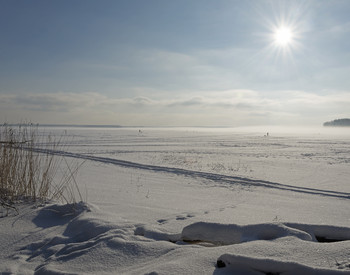 winter / ***