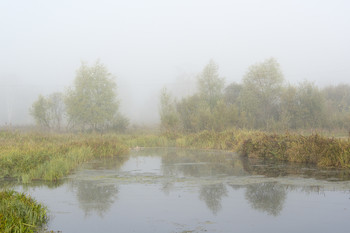 Morning in September / ***
