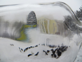 &nbsp; / [img]https://pp.userapi.com/c850720/v850720645/7f66b/AIDTKYH6aXs.jpg[/img]

[img]https://pp.userapi.com/c850720/v850720645/7f68f/cMMJA5Ovcag.jpg[/img]

[img]https://pp.userapi.com/c850720/v850720645/7f6e1/QWZNsp7R01A.jpg[/img]

[img]https://pp.userapi.com/c850720/v850720645/7f6aa/7cQE2uiSyIc.jpg[/img]

[img]https://pp.userapi.com/c850720/v850720645/7f6ea/KaX3UBHAdYM.jpg[/img]

[img]https://pp.userapi.com/c850720/v850720645/7f6cf/ehMY0jNJsZI.jpg[/img]