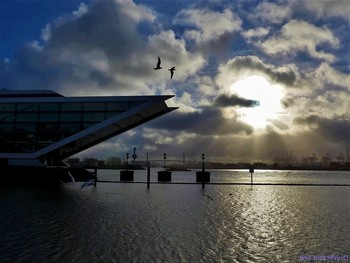 Hamburg. Dockland / ***