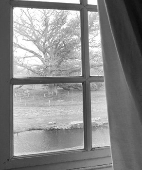 Outside the window / ...