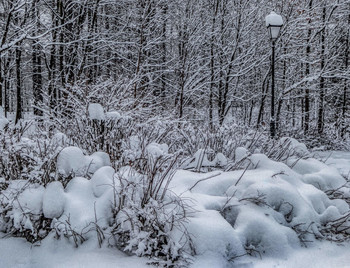 Covered with snow. / ***