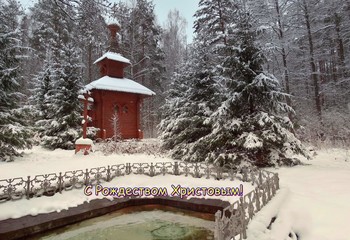 Merry Christmas! / ***