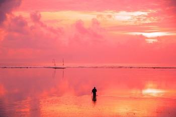 Pink morning / ***