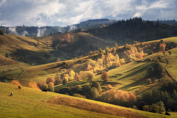 Carpathian slopes / ***