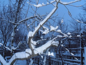February morning / ...