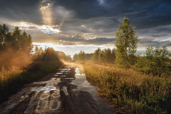 after summer rain / ***