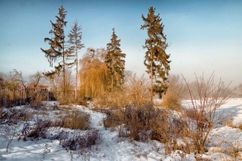 Winter landscape / ***