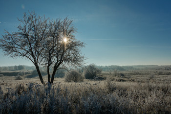 At dawn / ***
