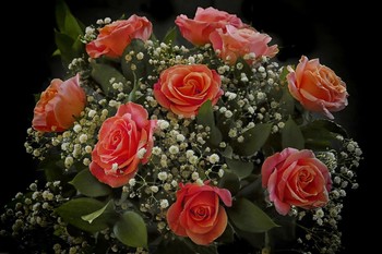 Bouquet / ***