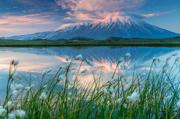 June Dawn / ***