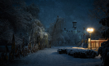 a winter evening / ***