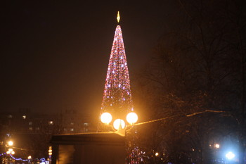 Christmas Tree / ***