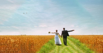 Wedding in Denmark / ***