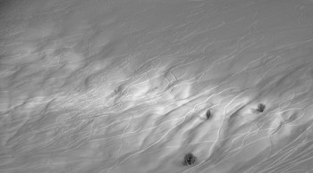 Black and white / ***