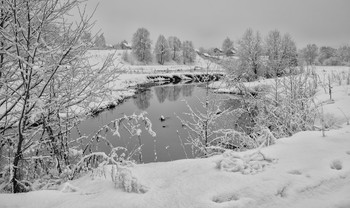 Black and white / ***