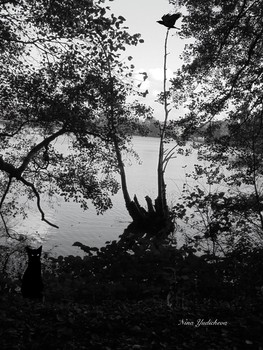 Black and white / ***