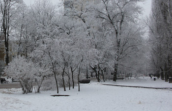 Black and white / ***