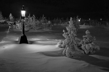 Black and white / ***