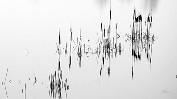 Black and white / ***