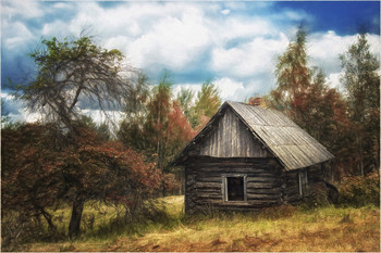 &nbsp; / Nikon D5200