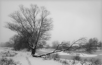 Black and white / ***