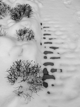 Black and white / [img]https://farm5.staticflickr.com/4880/39825951753_627a223c16_o.jpg[/img]