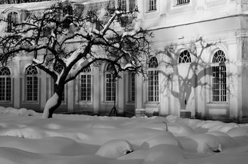 Black and white / ***