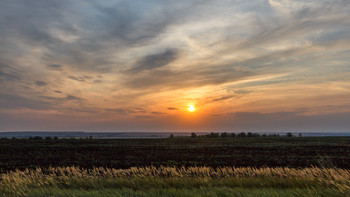 Evening in the field / ***
