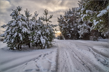 winter has come / ***