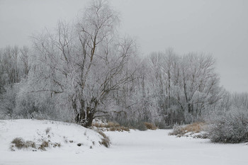 Winter / ***