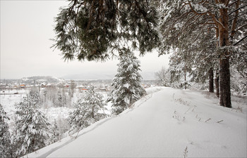 Overcast morning / ***