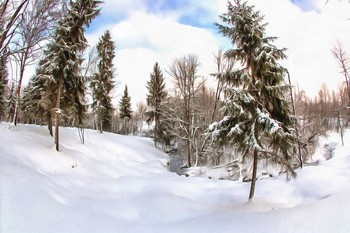 winters in the forest / ***