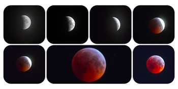 Bloody Moon / ***