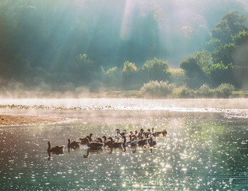 Morning bathing / ***