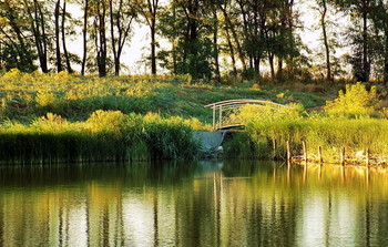 Bridge / ***