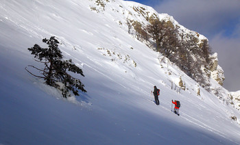 The Climb / ***