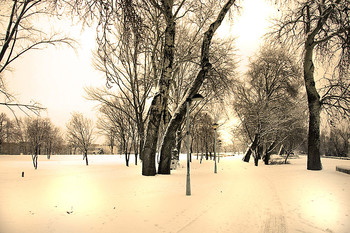 Winter landscape / ***