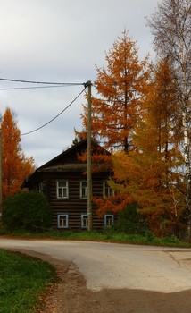 an old house / ***