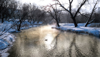 Winter landscape / ***