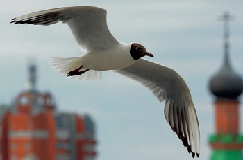 &nbsp; / &quot; &quot; &quot;