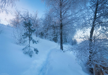 Along the path / ***