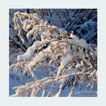 &nbsp; / music: The Paper Kites - Only One
https://www.youtube.com/watch?v=zCOyqKpxqtk