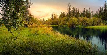 Lakeland taiga ... / ***