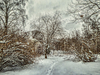 Winter day. / ***
